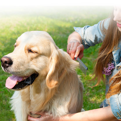 Regular Comb for Dogs and Cats