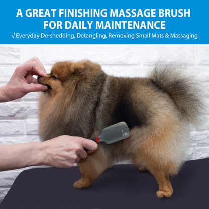 Massage Pin Brush for Dogs and Cats