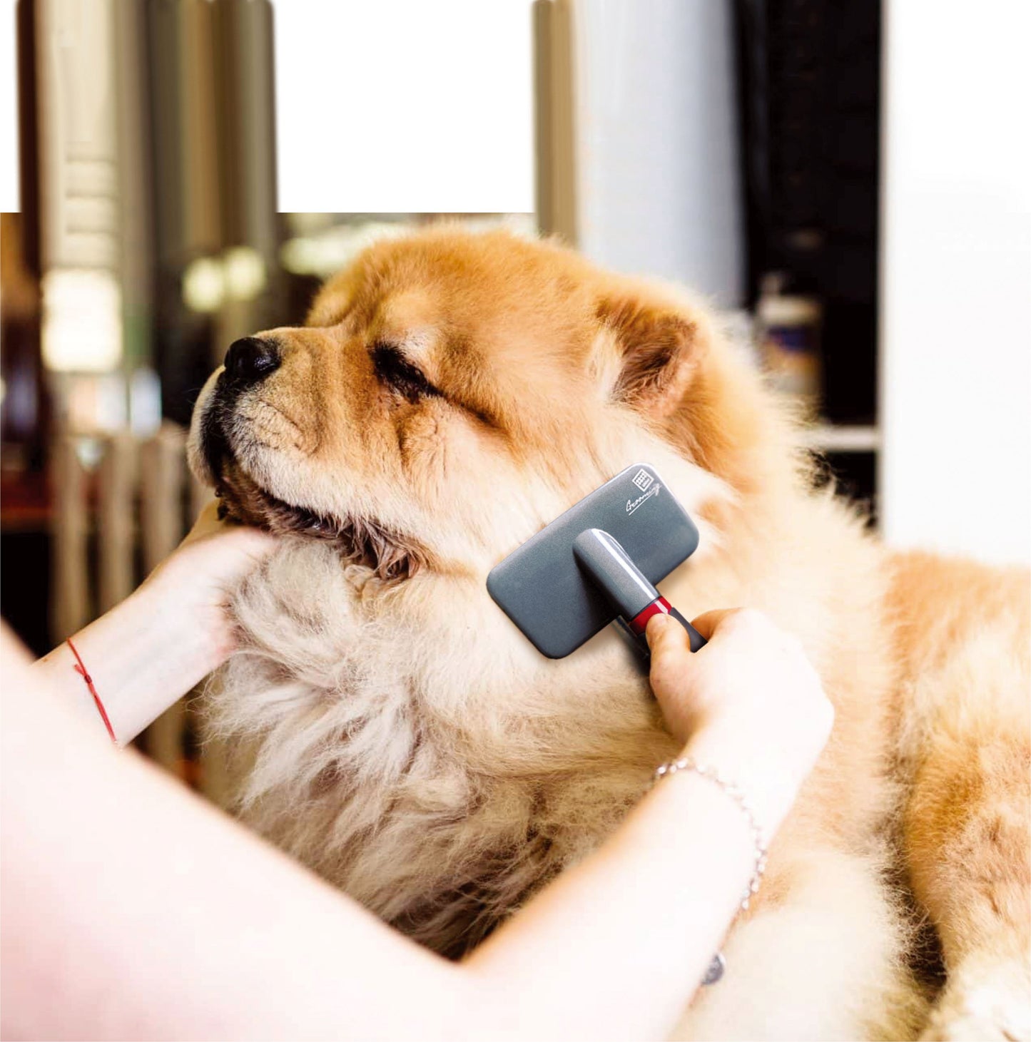 Slicker Brush for Dogs and Cats