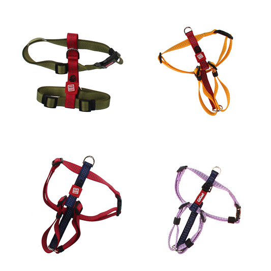 Harness Classic Line