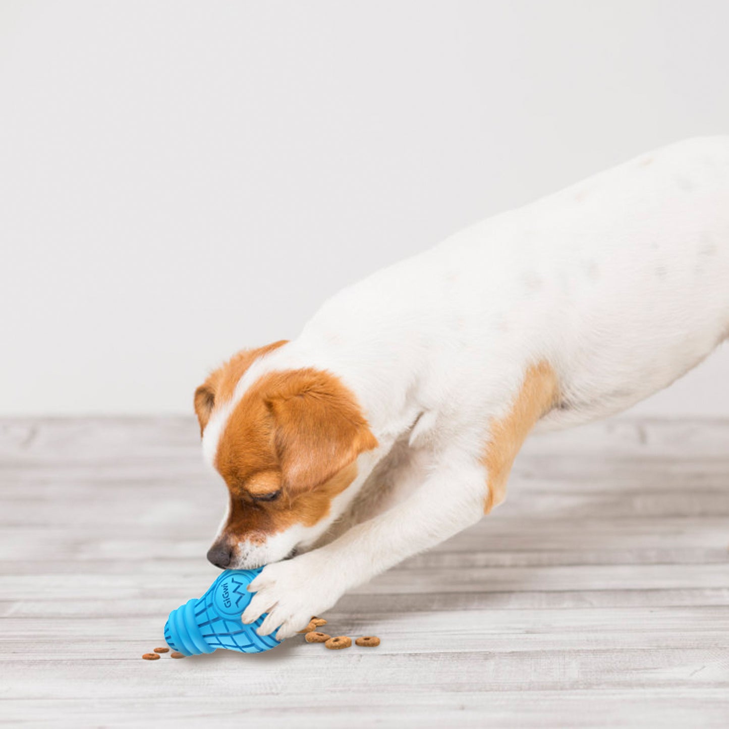 Bulb Rubber Treats Dispenser