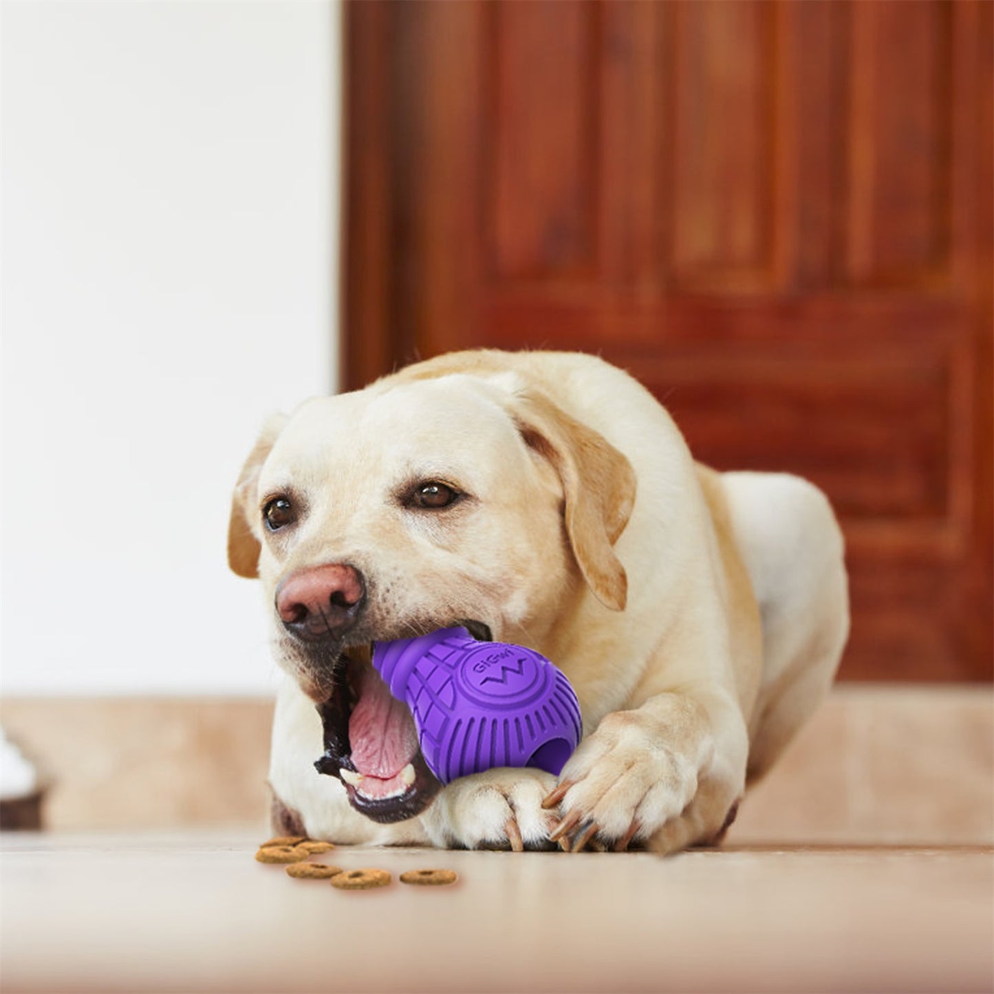 Bulb Rubber Treats Dispenser