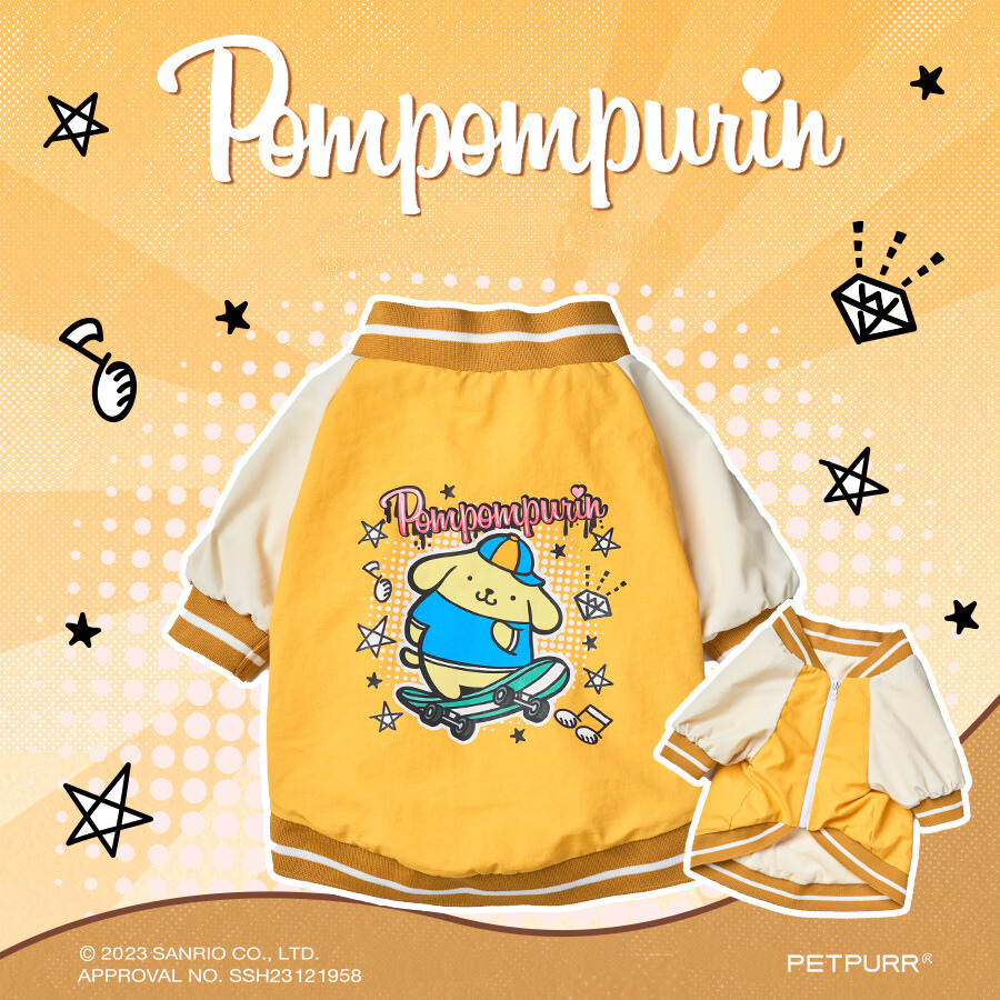 Sanrio Pompompurin Skateboard Suit