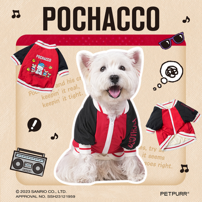 Sanrio Pochacco Streetboy Suit