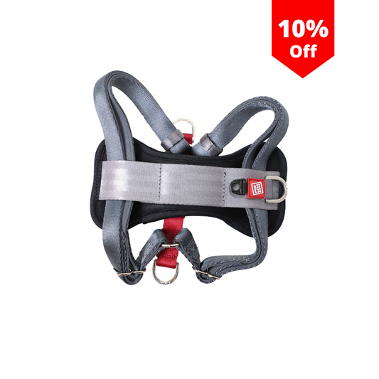 Harness Premium Line L