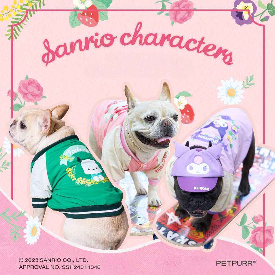 Sanrio Character Series Pet Suit